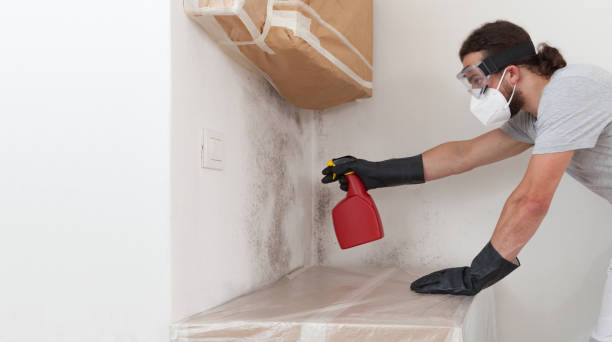 Professional Basement Mold Remediation technician working in Livingston, TN