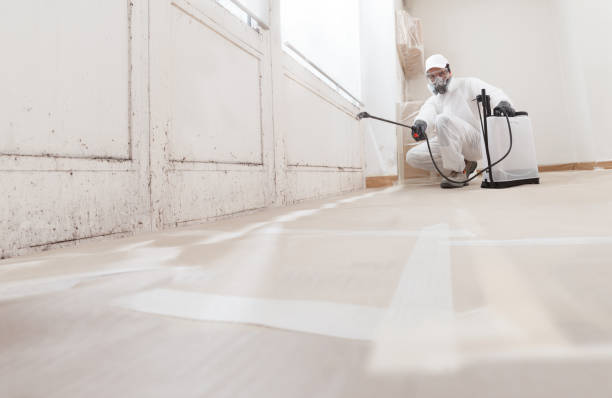24/7 Emergency Basement Mold Remediation experts in Livingston, TN