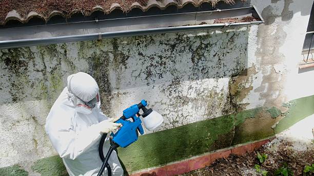 Top rated local Basement Mold Remediation specialists in Livingston, TN